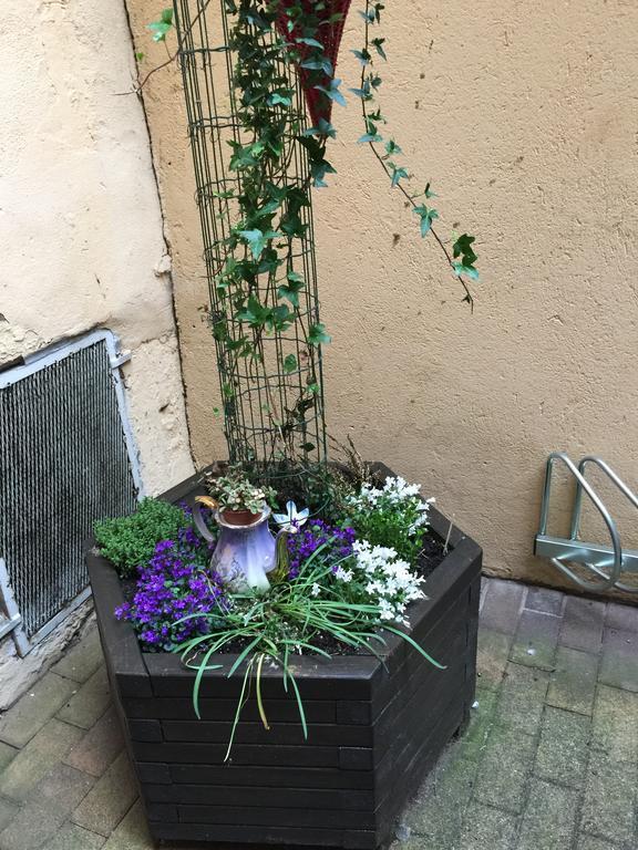 La Cour Des Cordonniers, Centre Cathedrale Petite France Apartment สตราสบูร์ก ภายนอก รูปภาพ