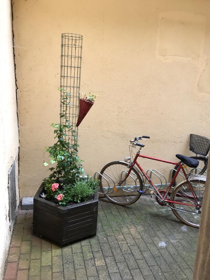 La Cour Des Cordonniers, Centre Cathedrale Petite France Apartment สตราสบูร์ก ภายนอก รูปภาพ